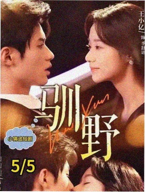 最新电视剧在线观看 历史正剧《山河故梦》